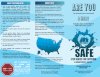 S.A.F.E. Male Intimate Partner Violence Brochure